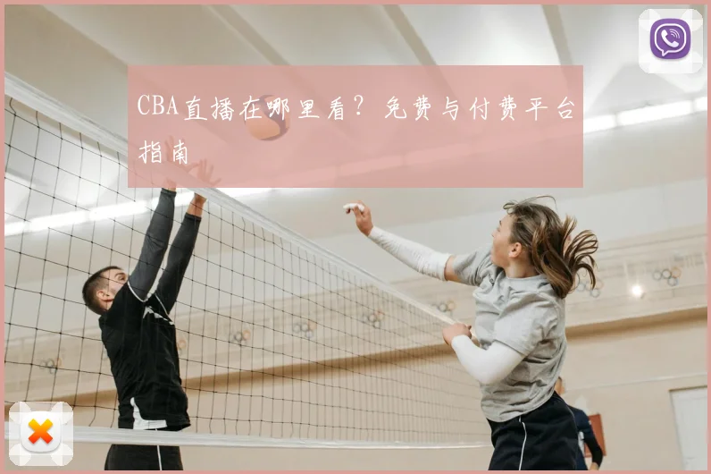 CBA直播在哪里看？免费与付费平台指南