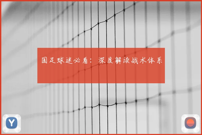 国足球迷必看：深度解读战术体系