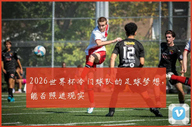 2026世界杯冷门球队的足球梦想,能否照进现实