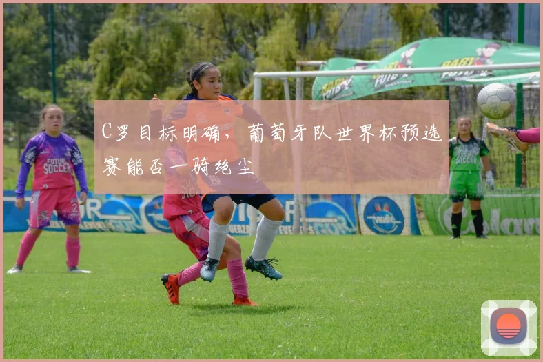 C罗目标明确,葡萄牙队世界杯预选赛能否一骑绝尘